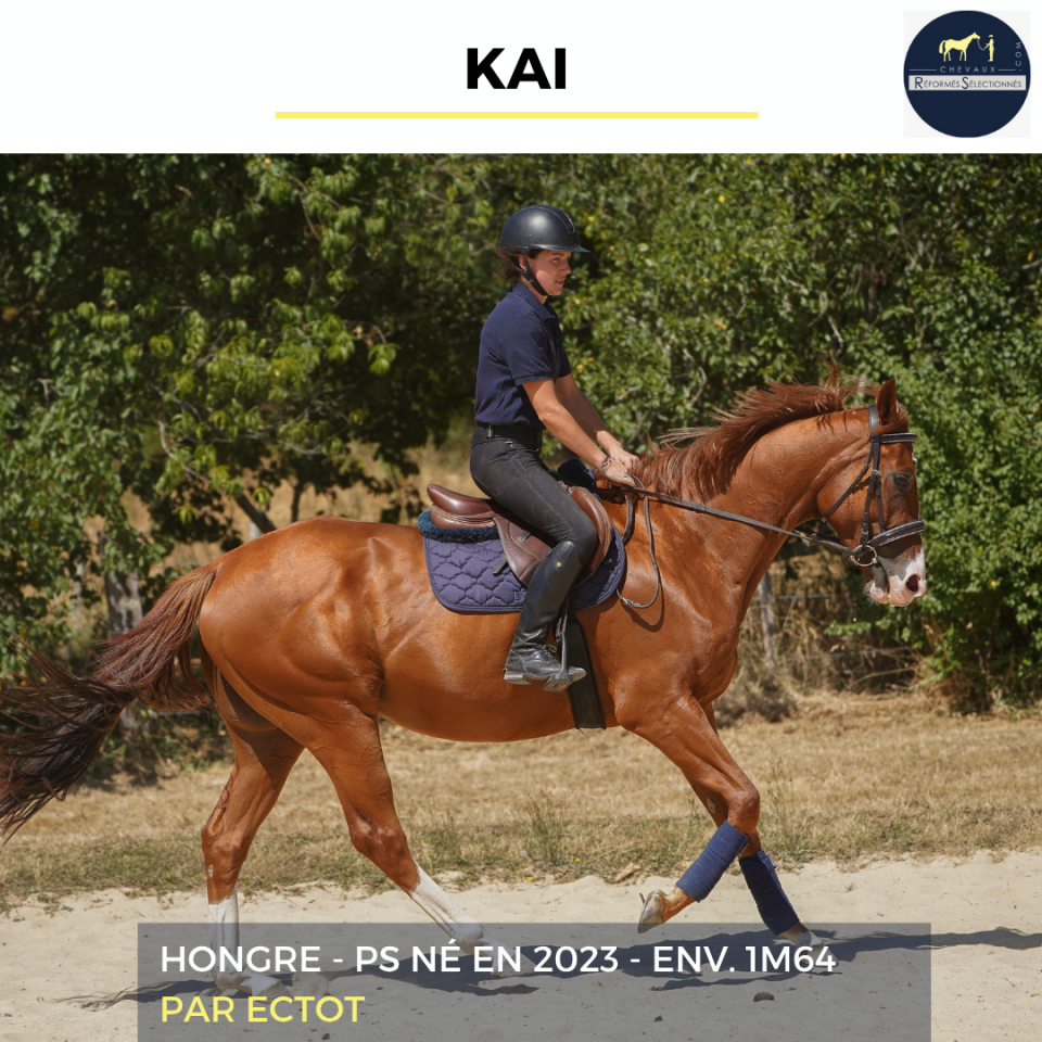 KAI - PS - 3 ANS