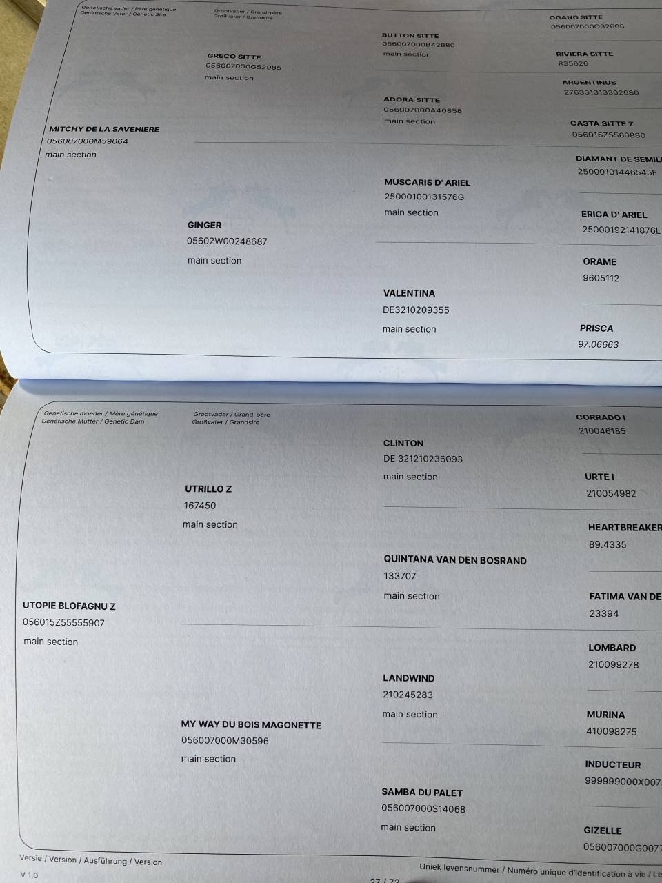 &Agrave; vendre: 2 juments pleins papiers