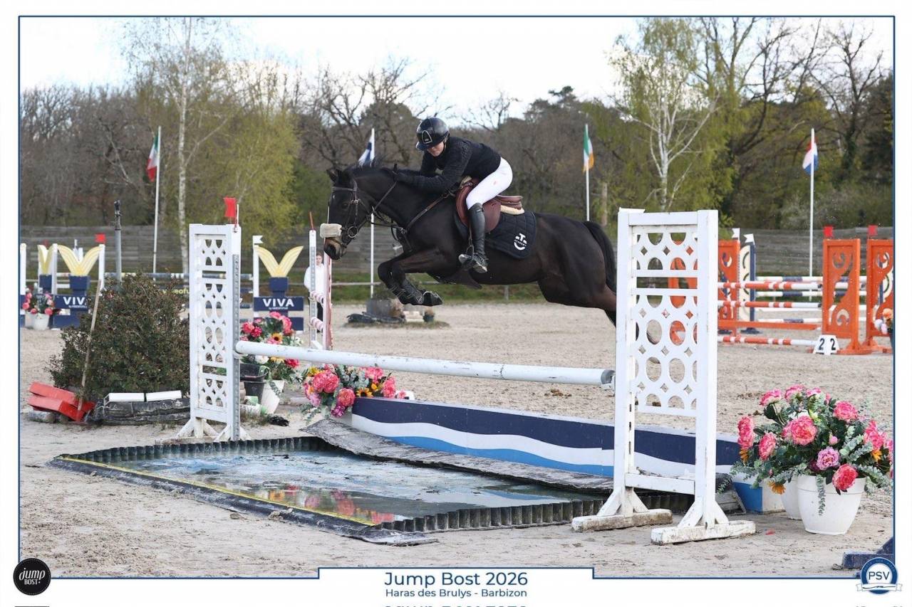 PONEY &Agrave; LOUER