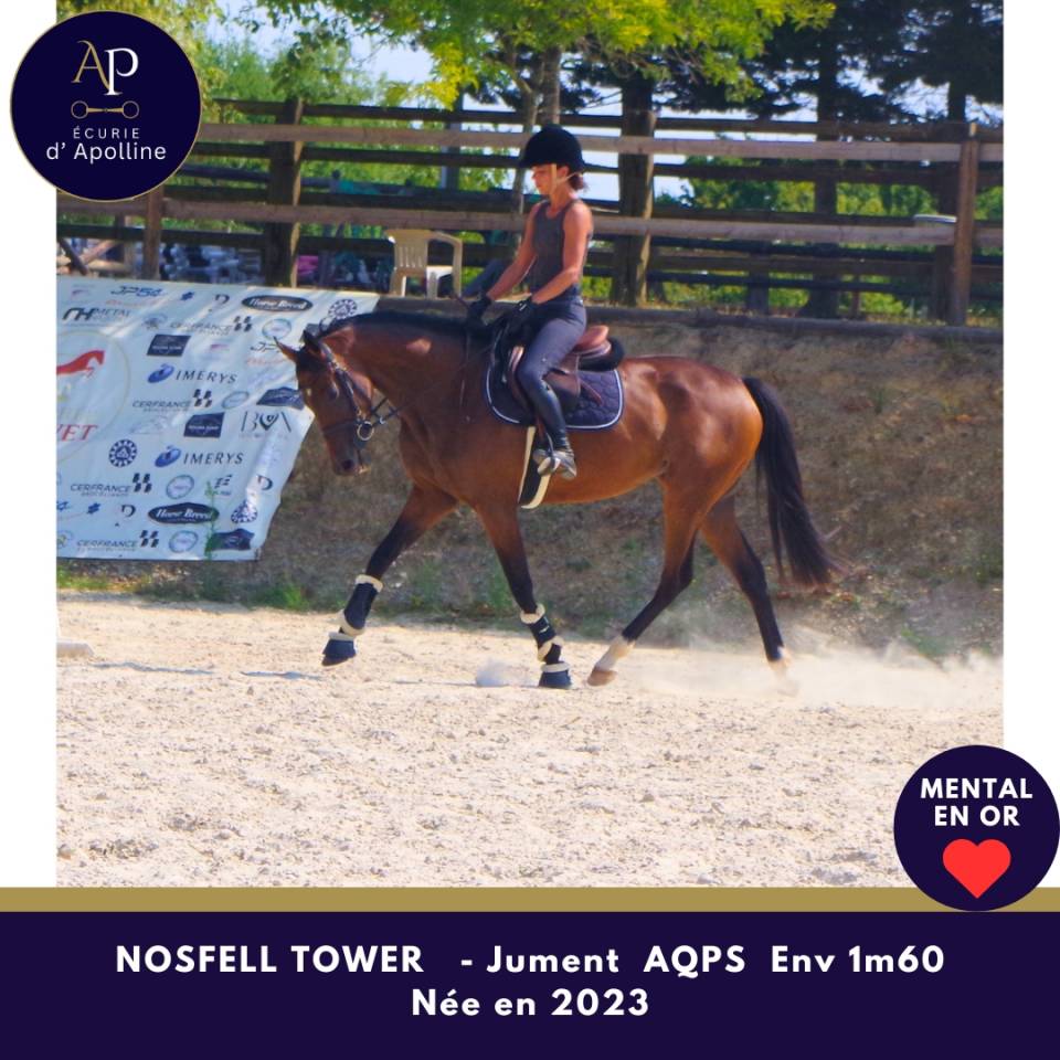 Superbe AQPS top mental 
