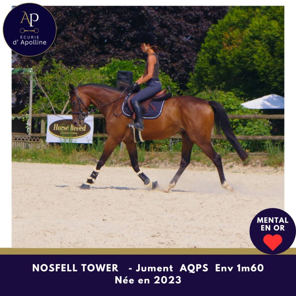 Superbe AQPS top mental 
