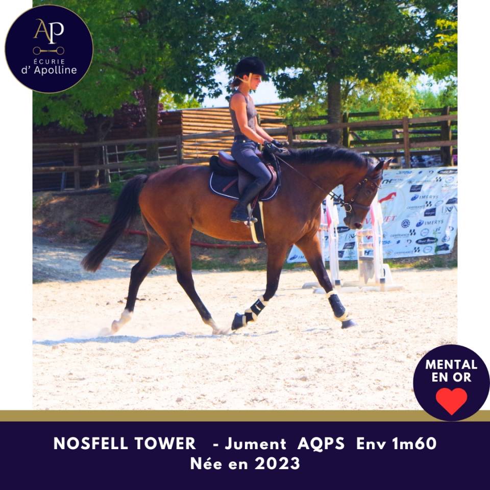 Superbe AQPS top mental 