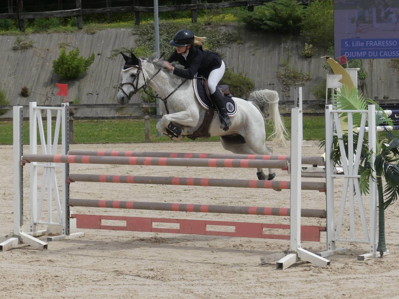 Poney de Sport - &eacute;preuves AS    20 000&euro;