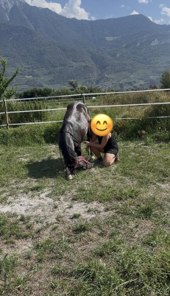&Agrave; vendre Minorquin plein papier 