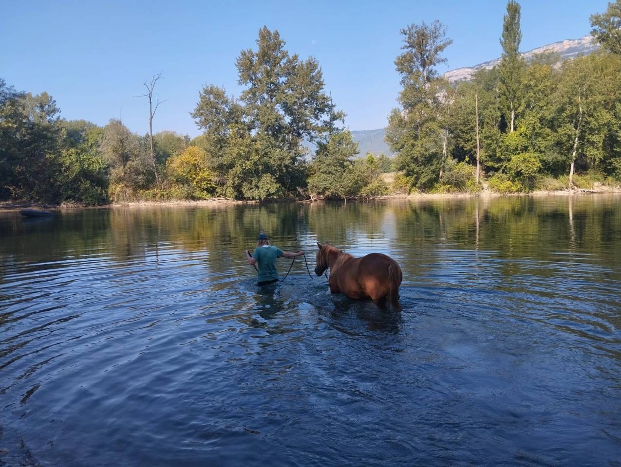 Tr&egrave;s beau poney ONC 7 ans