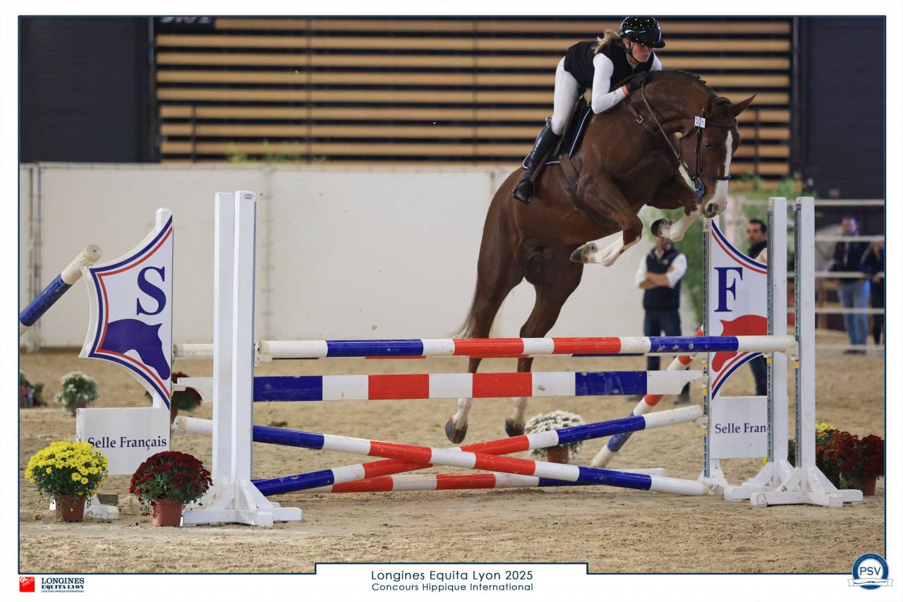 Jument 4 ans top lign&eacute;e pour connaisseur 