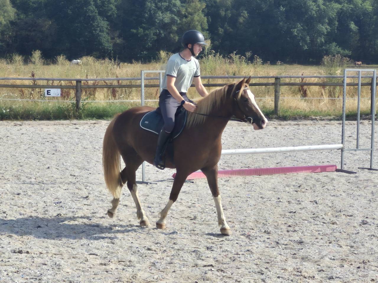 Ponette C top mental, bonnes origines