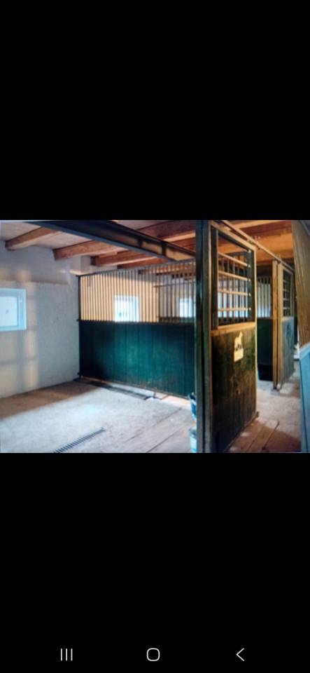Pension pour chevaux - 1580 Oleyres