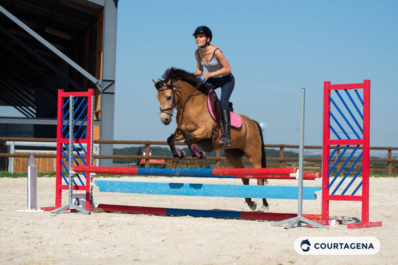 Ponette connemara 6 ans id&eacute;ale enfants