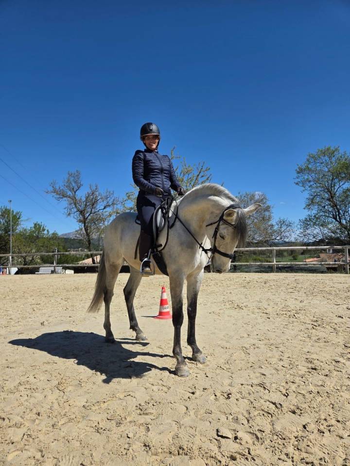 &Agrave; VENDRE &ndash; RAMS&Egrave;S ? Lusitanien &bull; 7 ans &bull; 1,61 m