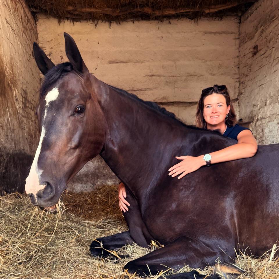 JHONNY DU THAR &ndash; Hongre SF &ndash; 7 ans &ndash; 1,73 m