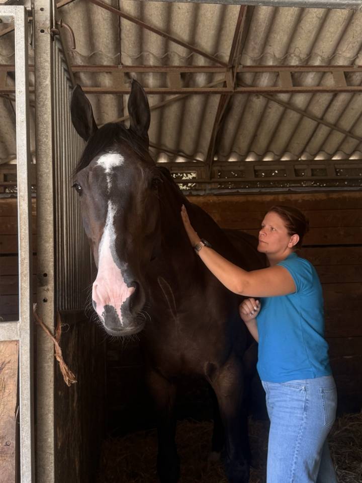 JHONNY DU THAR &ndash; Hongre SF &ndash; 7 ans &ndash; 1,73 m
