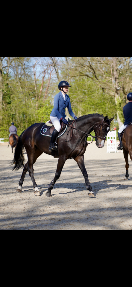 JHONNY DU THAR &ndash; Hongre SF &ndash; 7 ans &ndash; 1,73 m