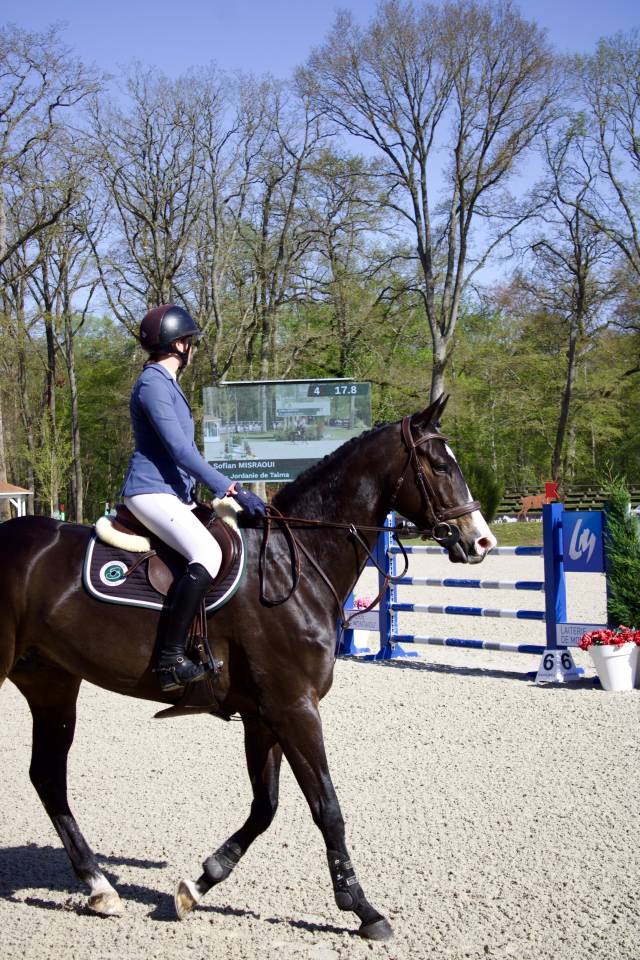 JHONNY DU THAR &ndash; Hongre SF &ndash; 7 ans &ndash; 1,73 m