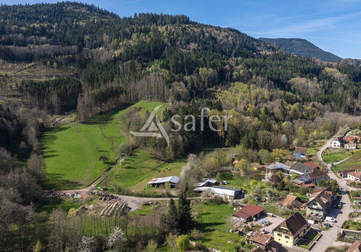Propri&eacute;t&eacute; &agrave; potentiel &eacute;questre au coeur du Massif des Vosges
