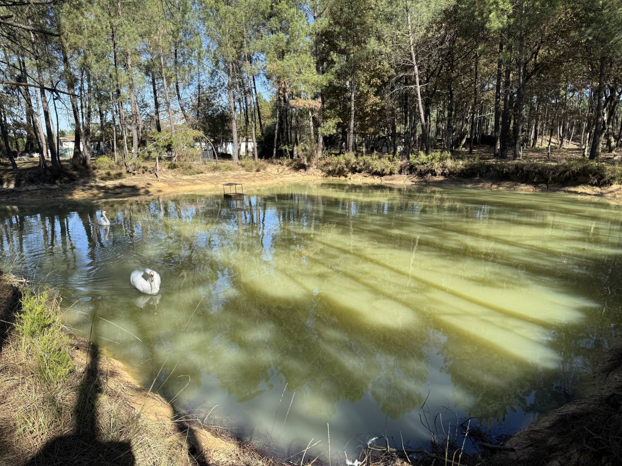 Sur 15 hectares bois&eacute;s et clos, proche Bordeaux
