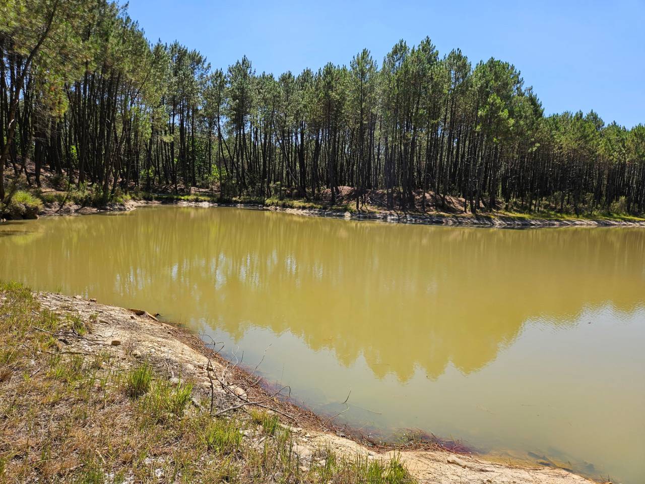 Sur 15 hectares bois&eacute;s et clos, proche Bordeaux