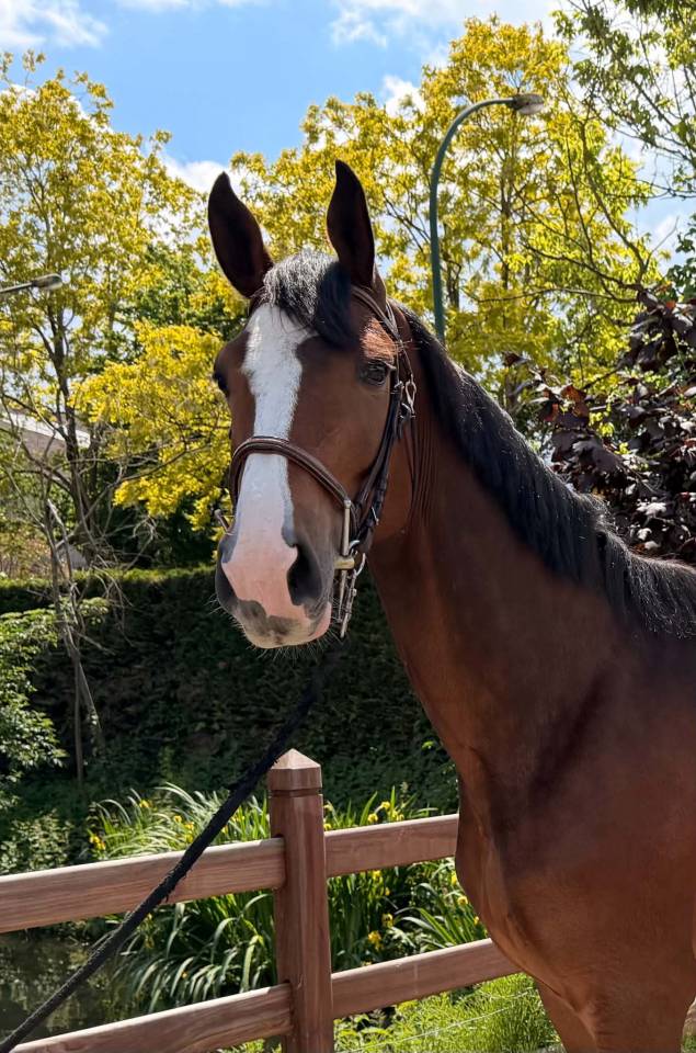 Warco de Wemmel, 4 ans 