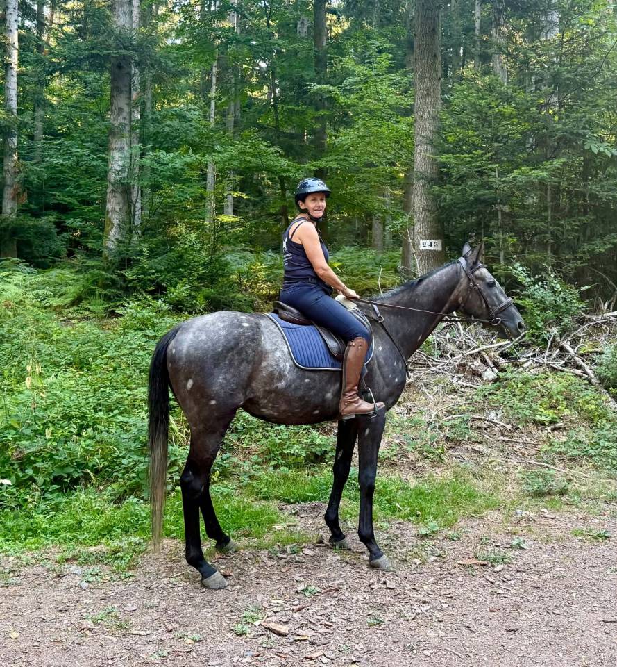 Adorable cheval gris polyvalent de 5 ans