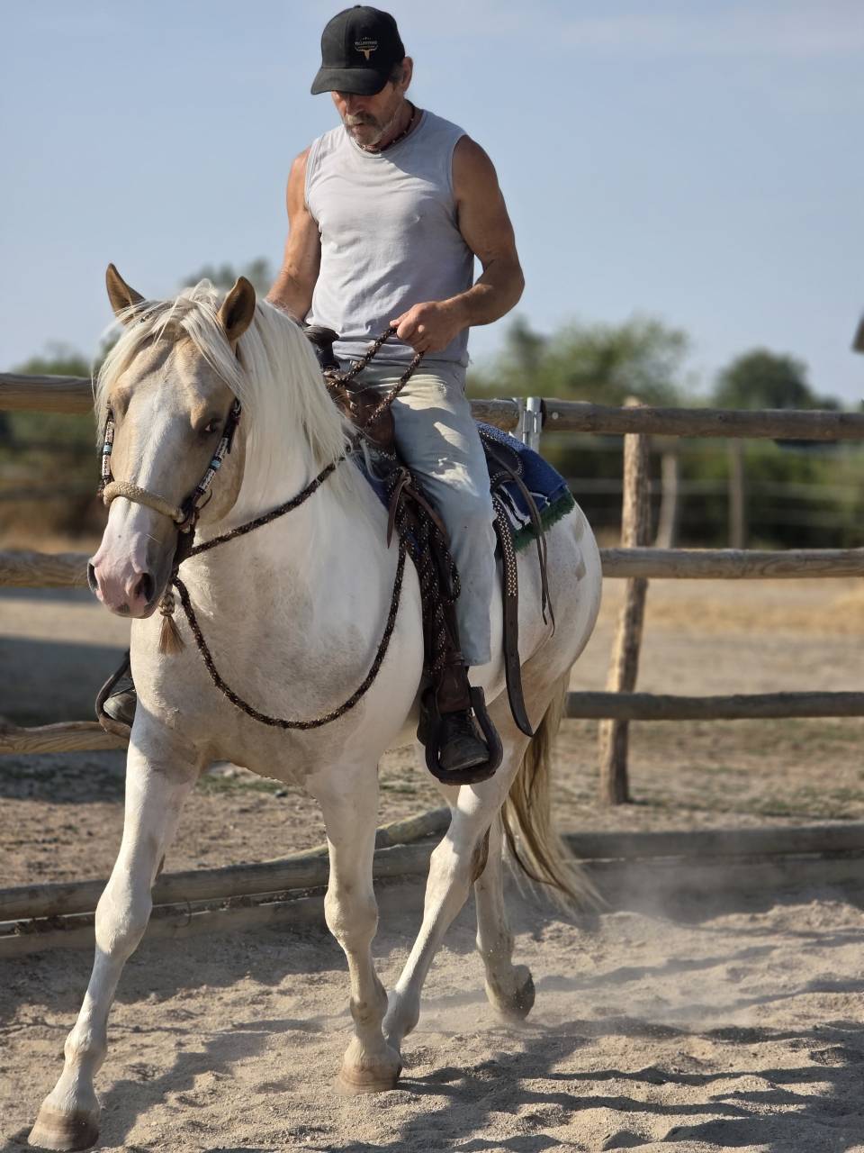 Cheval western randonn&eacute;e 