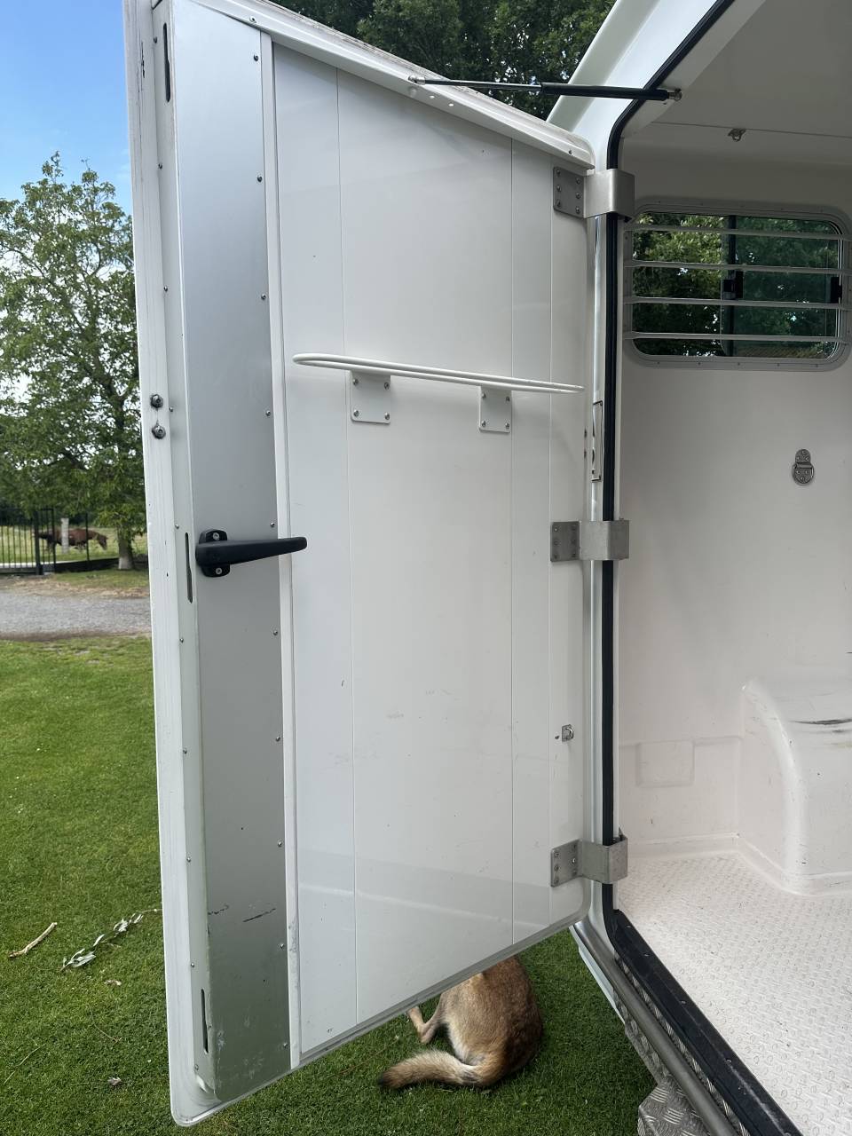 Camion VL Chevaux Renault Master  2020 Occasion