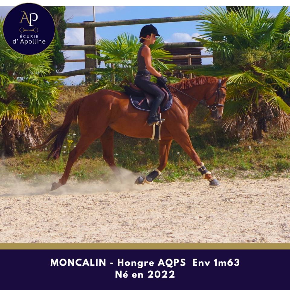 Top AQPS 4 ans