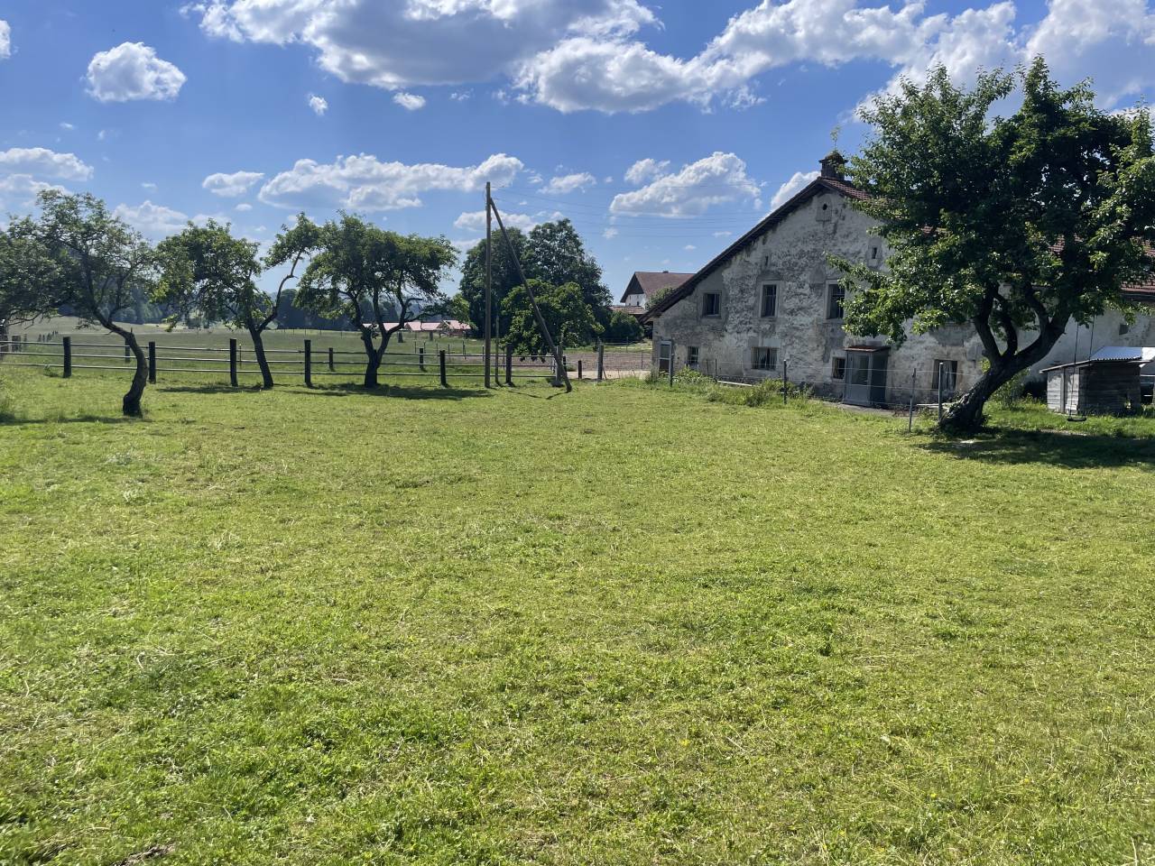 Pension pour poneys 