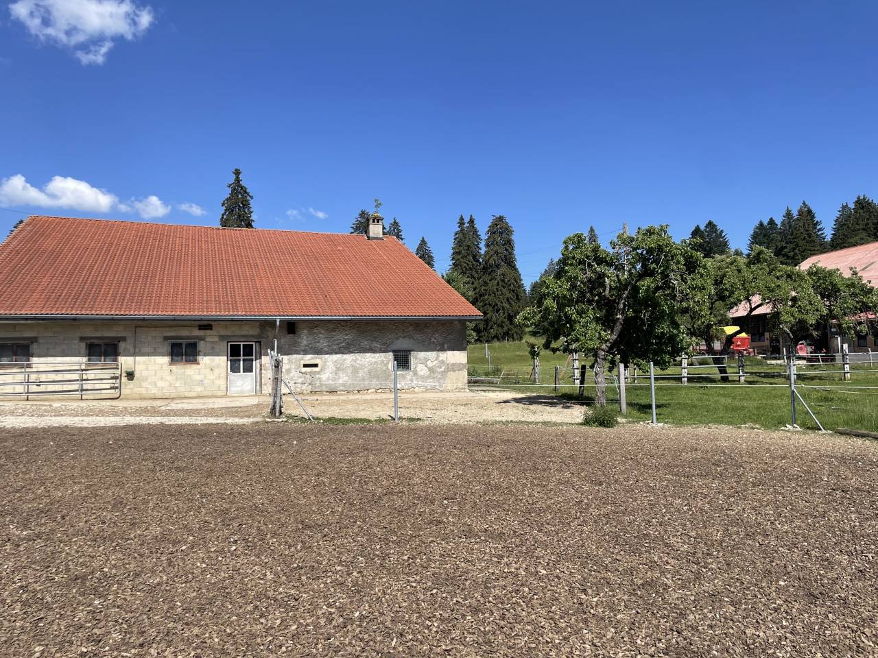 Pension pour poneys 