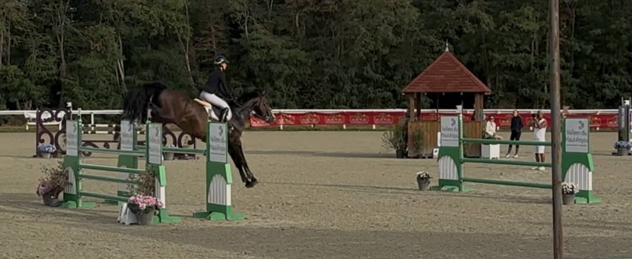 Cheval de Sport 8 ans tourne actuellement 125/130