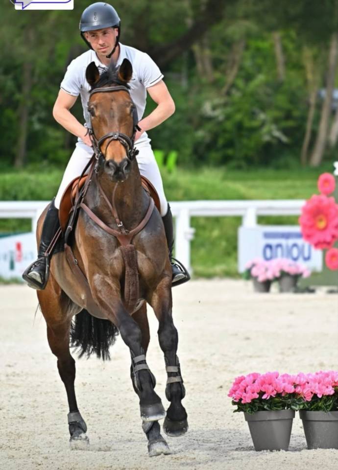 Superbe Jument 130/135