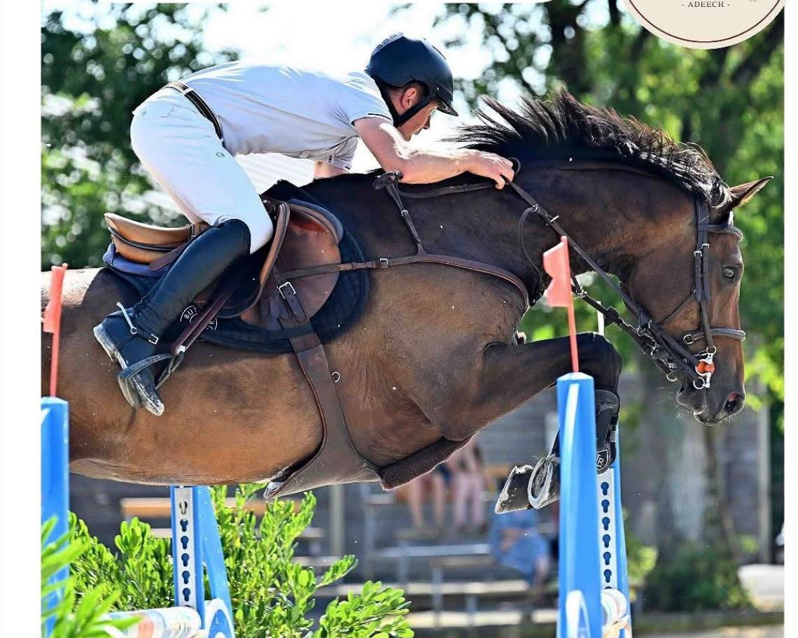 Superbe Jument 130/135