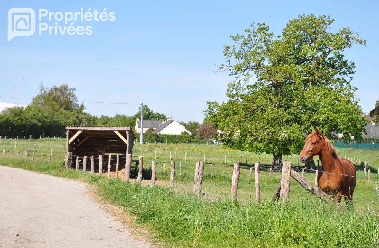 MAYENNE - CENTRE EQUESTRE 7 HECTARES, HANGAR, STUDIO
