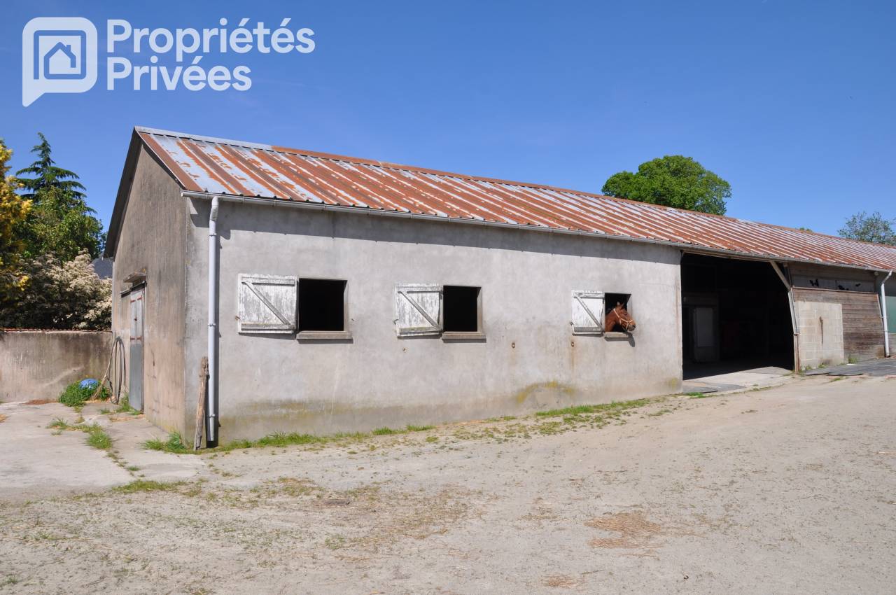 MAYENNE - CENTRE EQUESTRE 7 HECTARES, HANGAR, STUDIO