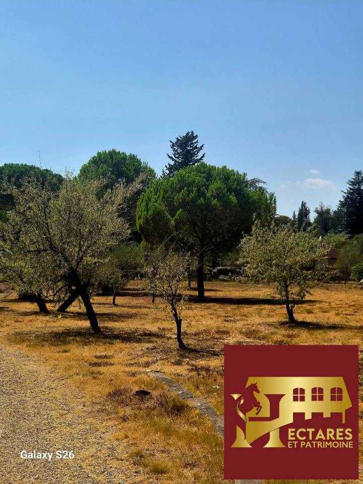 Propri&eacute;t&eacute; de charme sur 1ha de terrain au calme absolu sans &ecirc;tre isol&eacute;