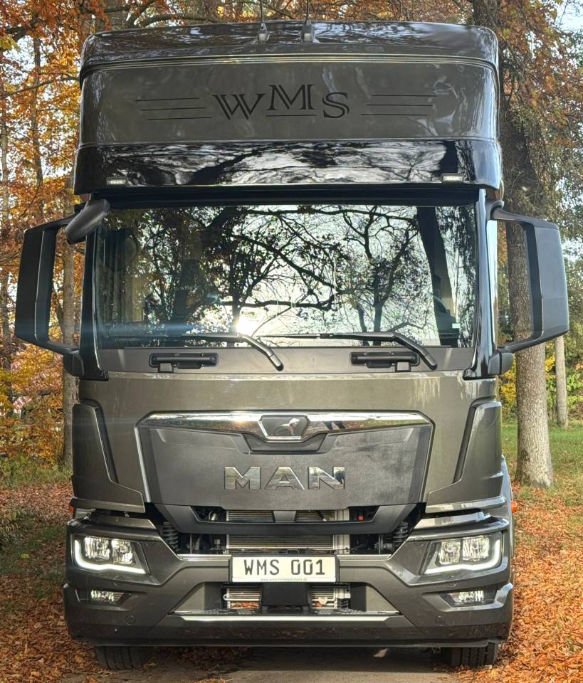 MAN TGM 15.290 WMS POP OUT