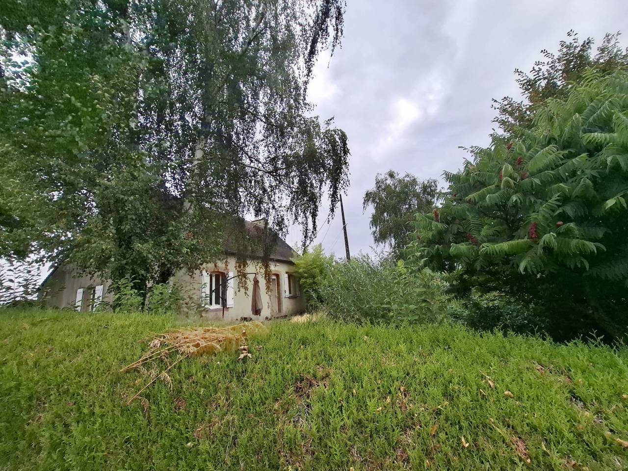 PROPRI&Eacute;T&Eacute; &Eacute;QUESTRE &Agrave; FORT POTENTIEL  PLUS DE 10 HECTARES