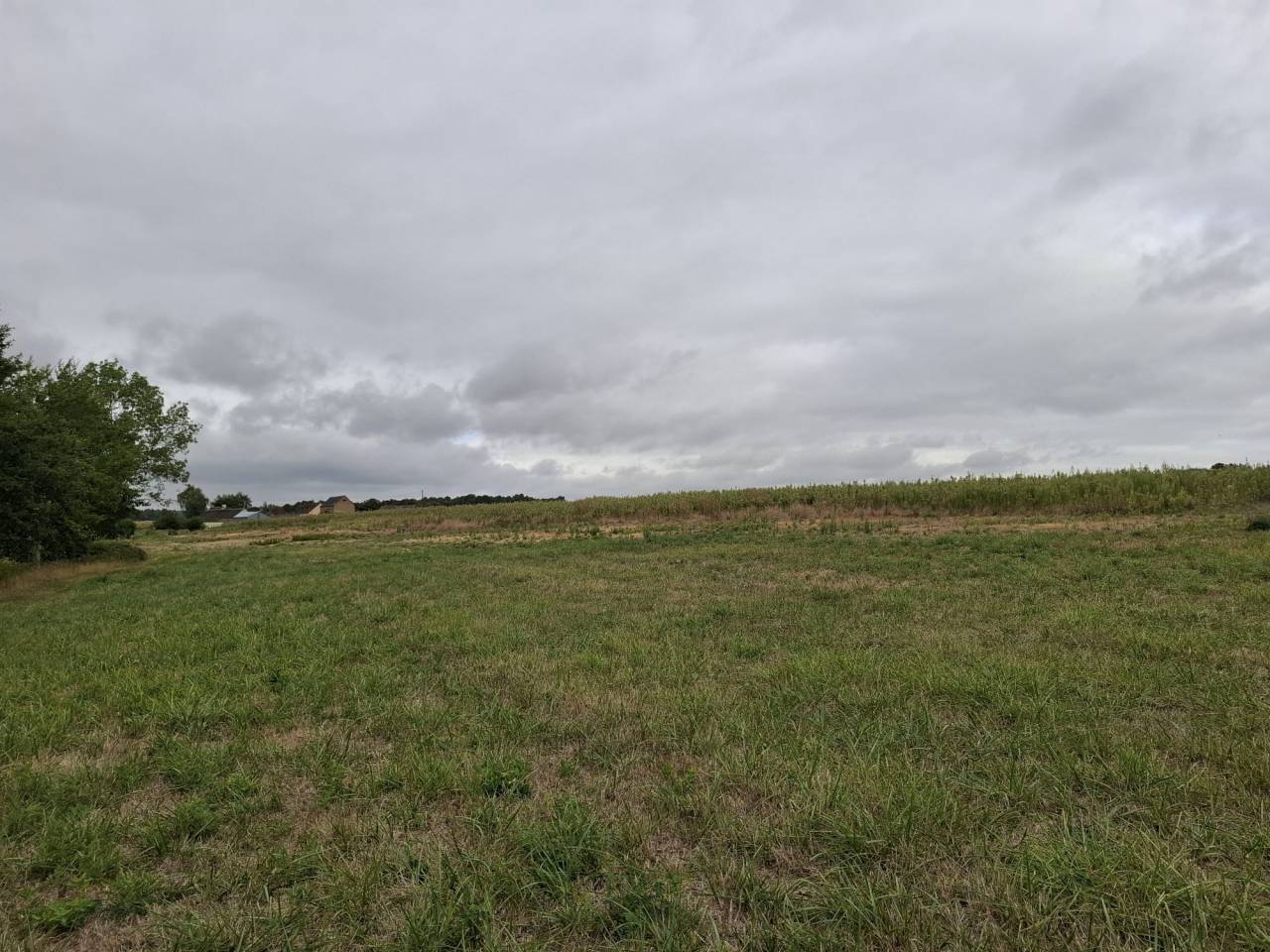 PROPRI&Eacute;T&Eacute; &Eacute;QUESTRE &Agrave; FORT POTENTIEL  PLUS DE 10 HECTARES