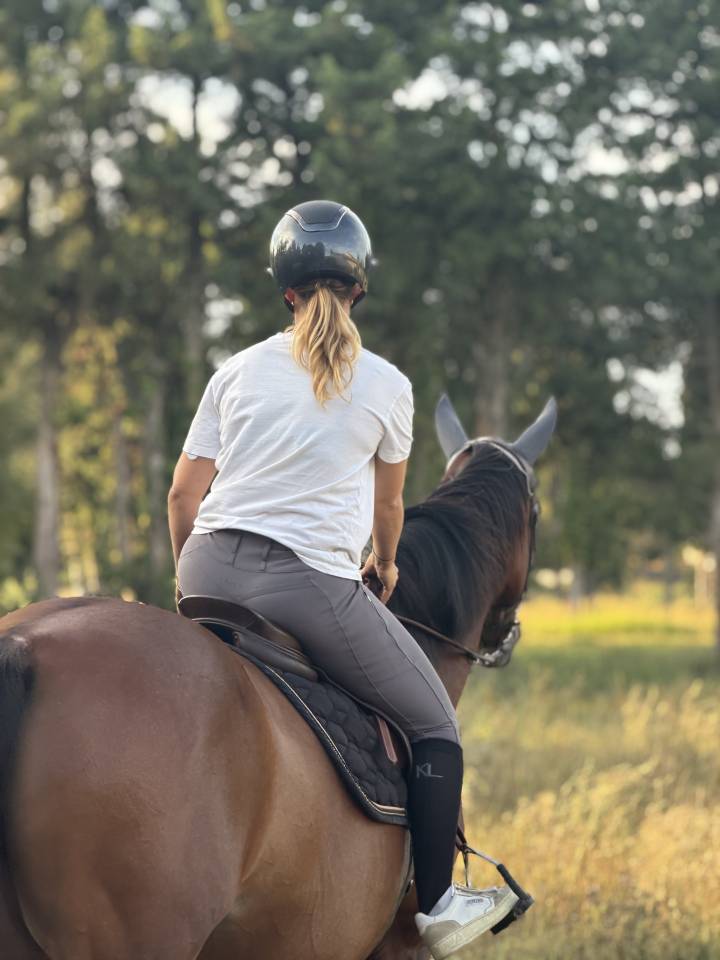 Et si vous partiez en vacances avec vos chevaux?