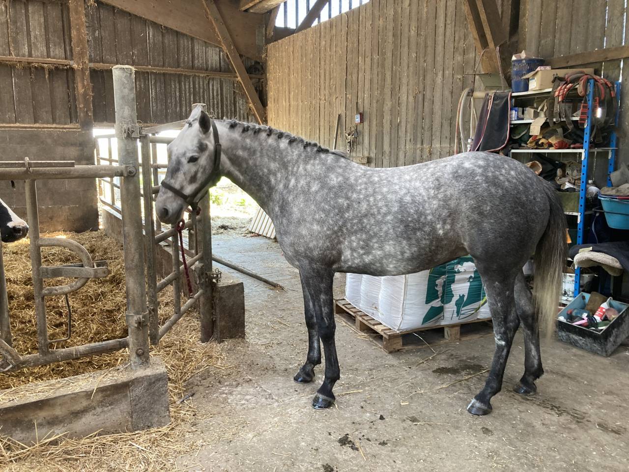 4 ans pfs clef en main