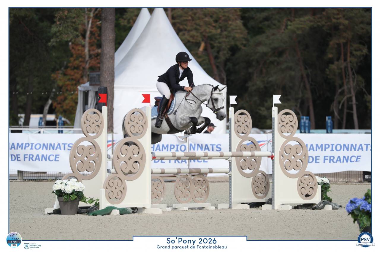 Top poney d&rsquo;avenir 