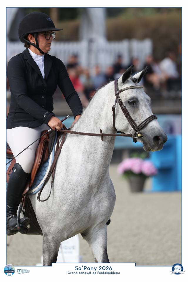 Top poney d&rsquo;avenir 