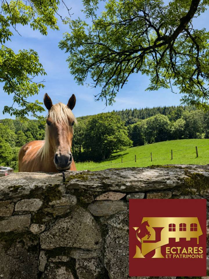 DOMAINE DE CARACT&Egrave;RE ET ACTIVIT&Eacute; TOURISTIQUE AU COEUR DU HAUT-QUERCY