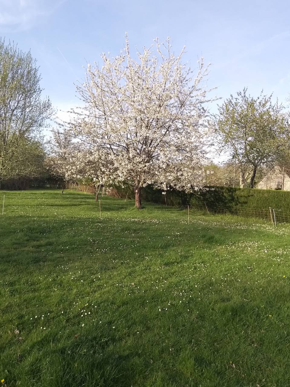maison avec 1.1 ha