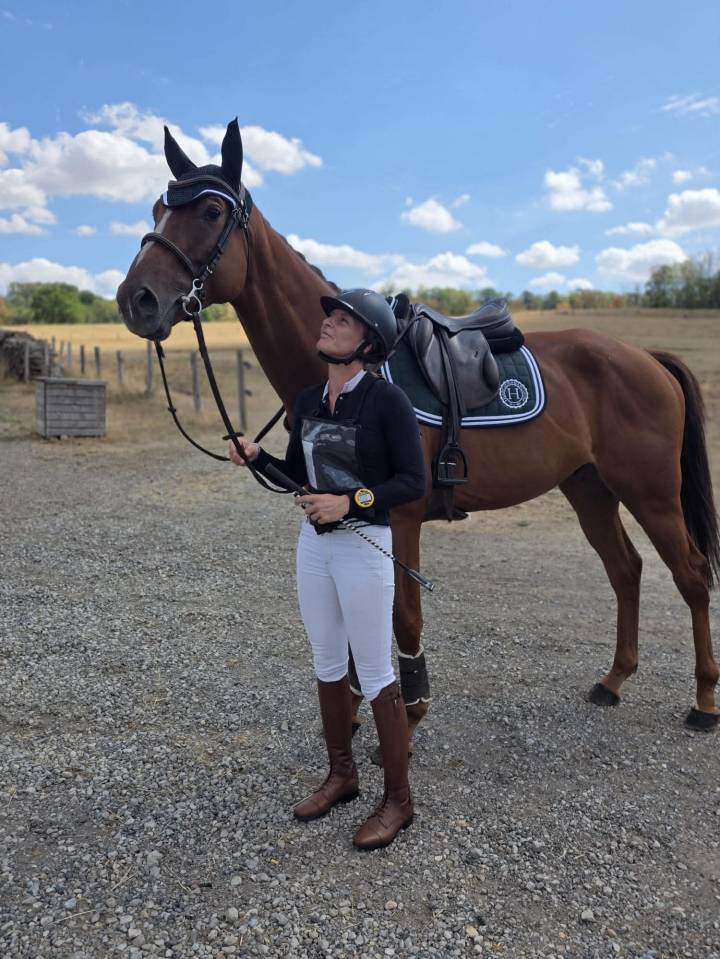 Hongre 4 ans Polyvalent 170 