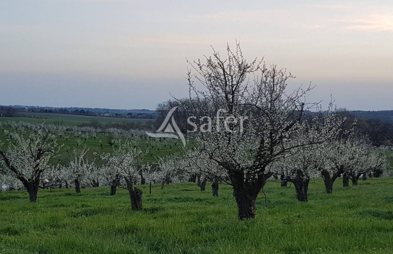 Magnifique domaine de 49 ha BIO au coeur de l'Albret
