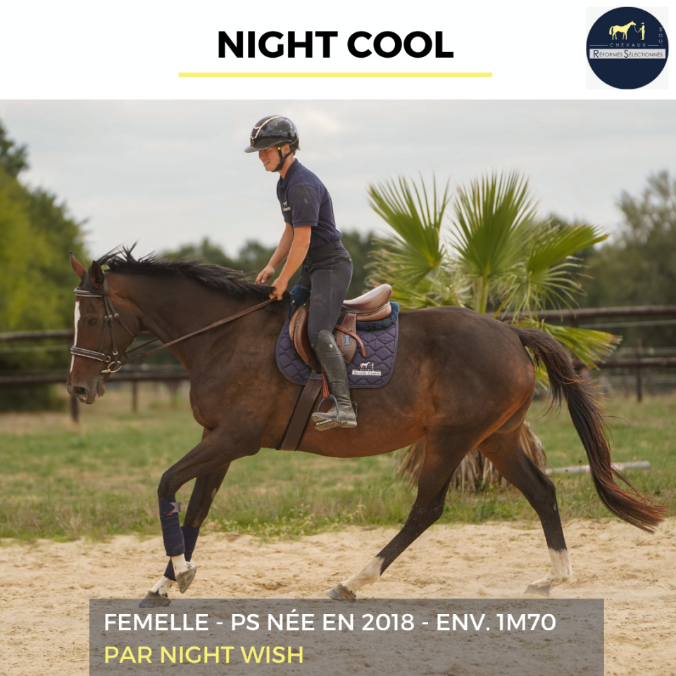 NIGHT COOL - PS - 8 ANS