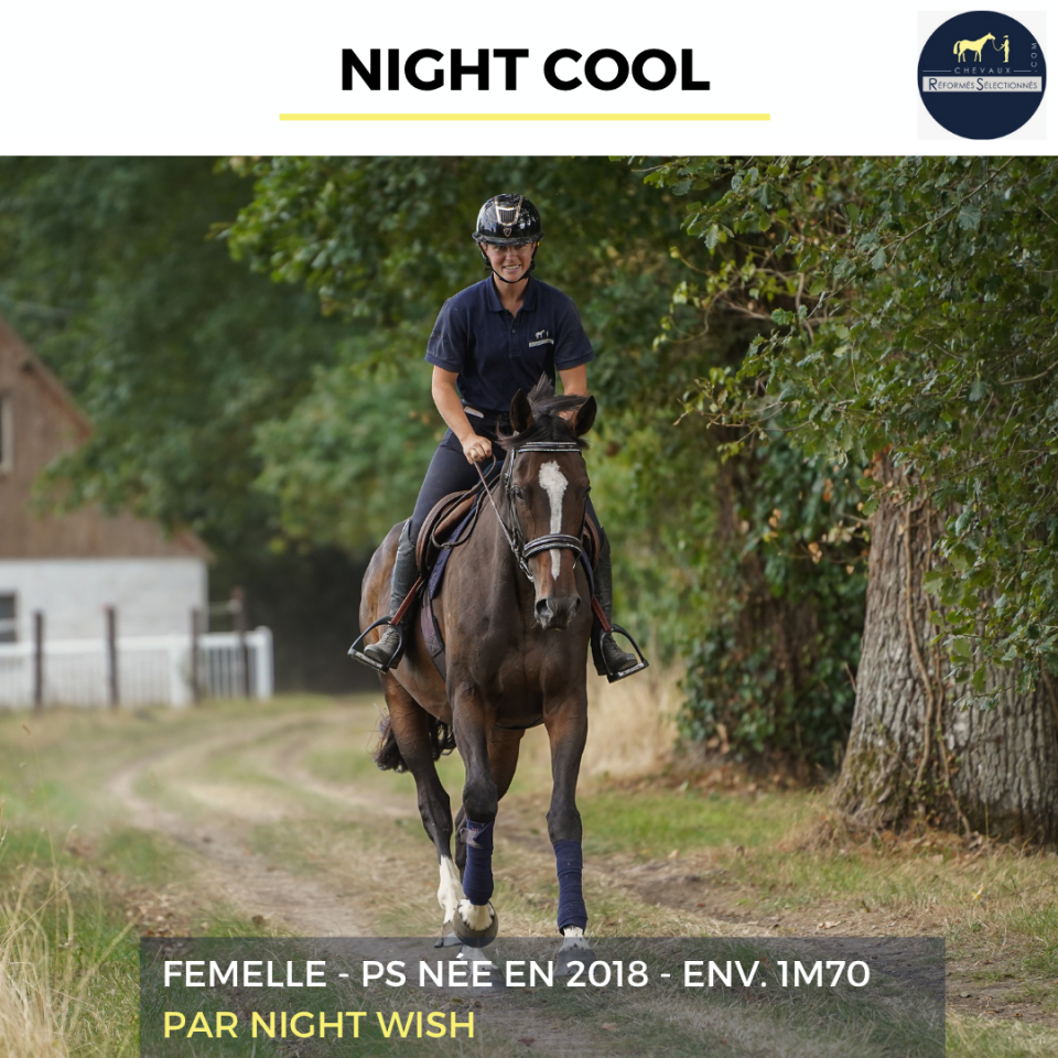 NIGHT COOL - PS - 8 ANS