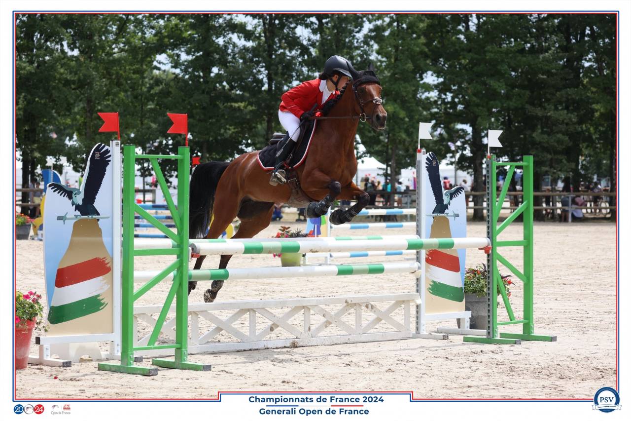 PSF jument, 13 ans, CSO PElite/AS2