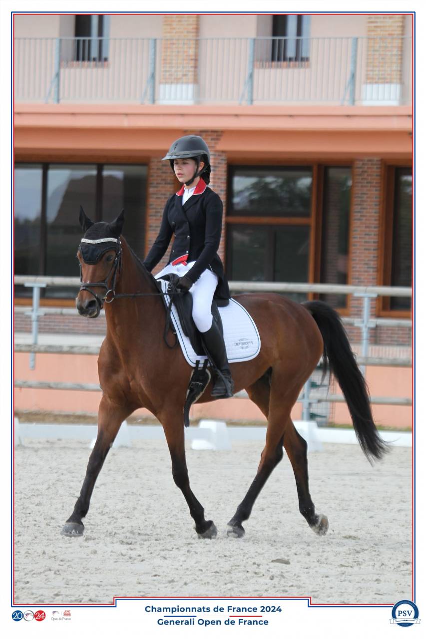 PSF jument, 13 ans, CSO PElite/AS2