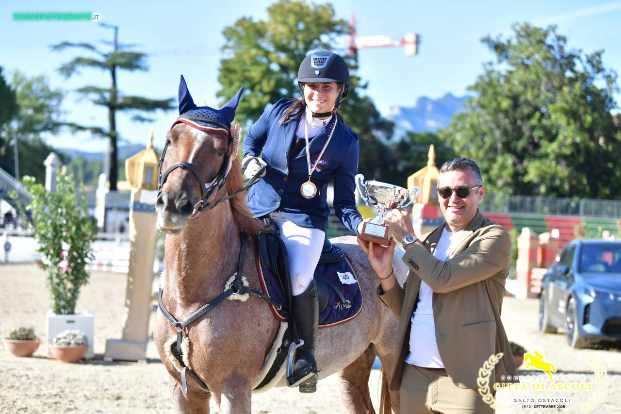 Hongre Poney de Selle Anglais A vendre 2017 Rouan